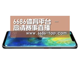 华为无线快充手机