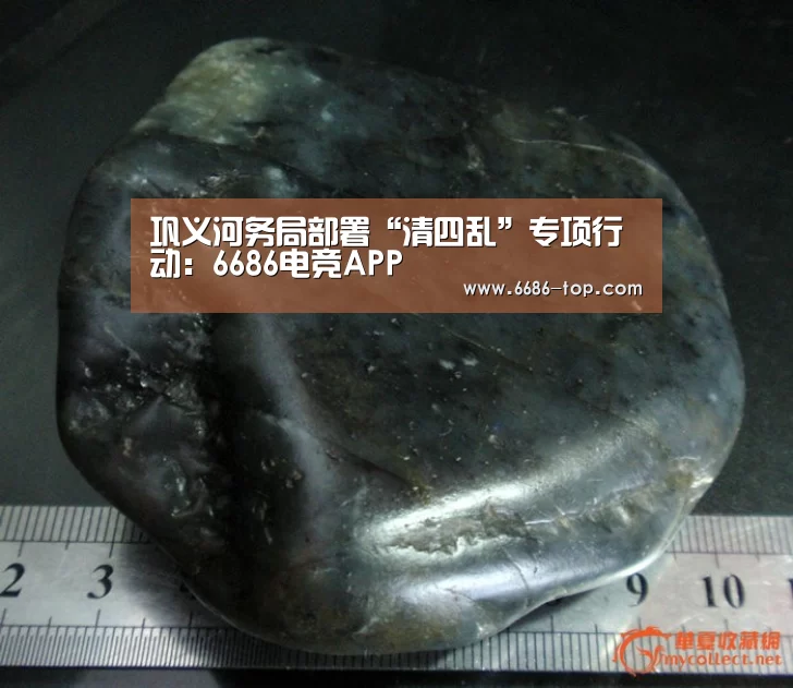 巩义河务局部署“清四乱”专项行动：6686电竞APP