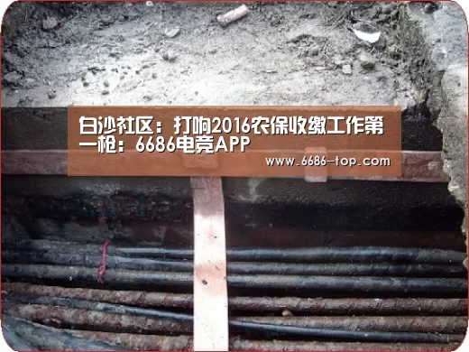 白沙社区：打响2016农保收缴工作第一枪：6686电竞APP